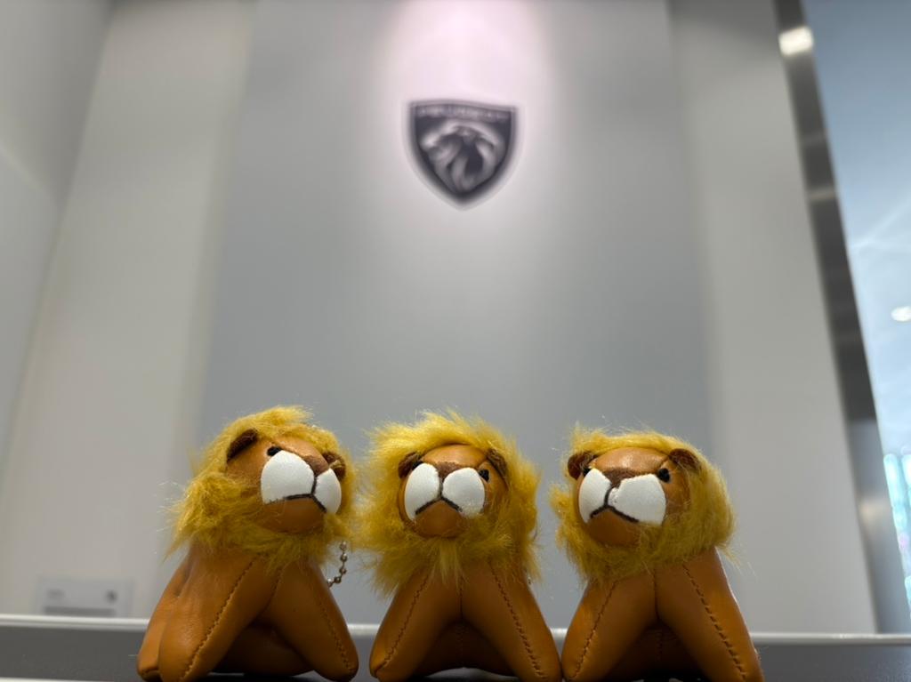 PEUGEOT PETIT LION LIFE フェア第2弾開催！！ 5/24（土）～25（日）