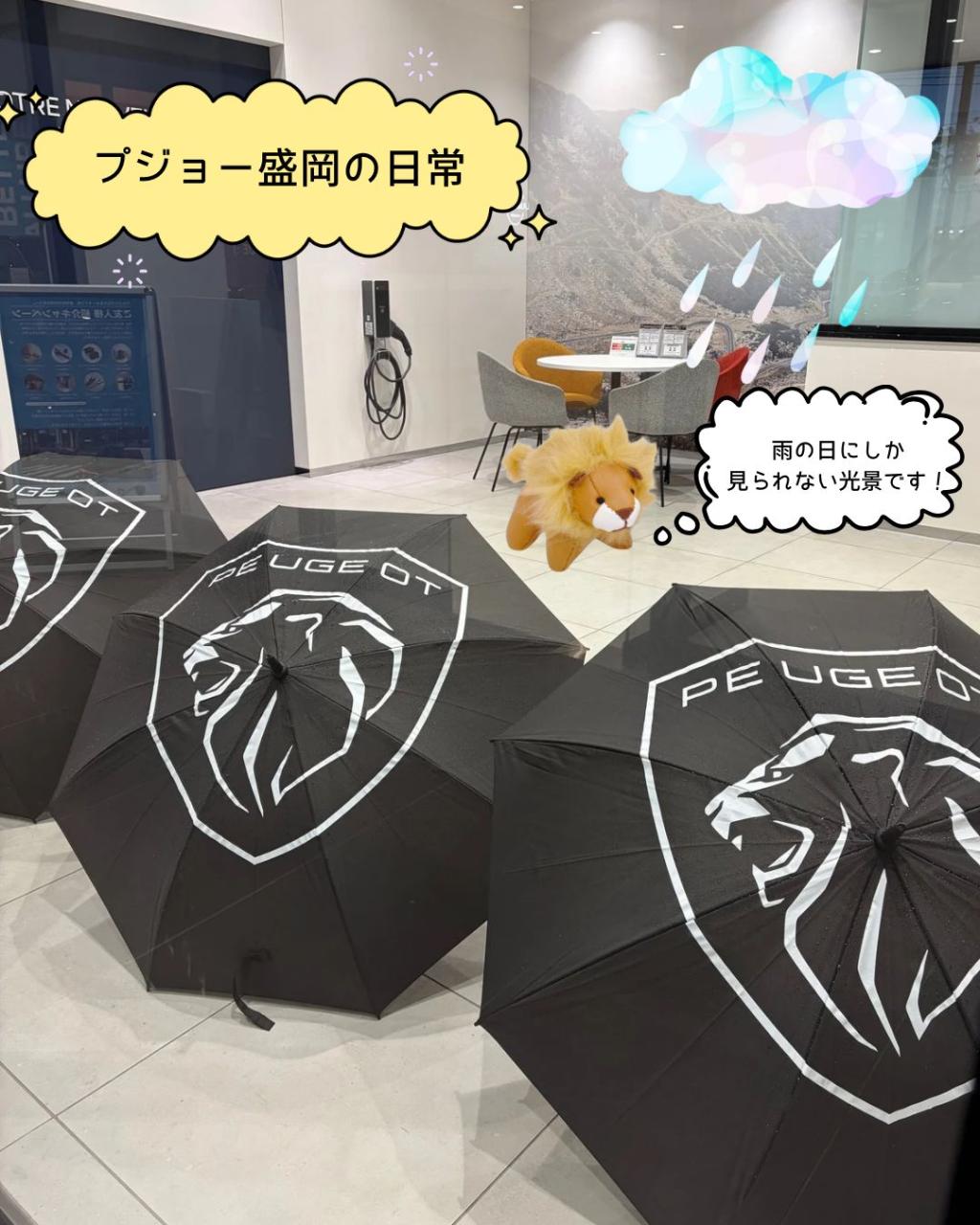 【プジョー盛岡の日常✨】