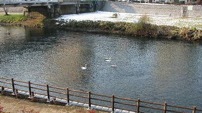 会社の前（冬）