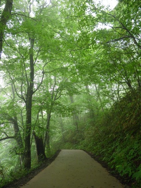 岩手県＜青森県