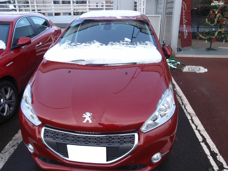 本格的な冬と２０８アリュール試乗車がやってきました！