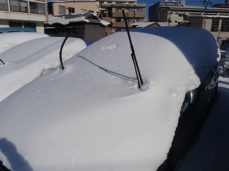 ☆あけましておめでとうございます☆