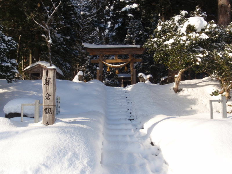 藤倉、神社へ行く。