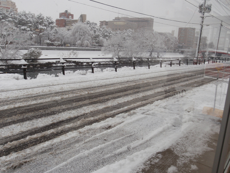 雪道の試乗しませんか？