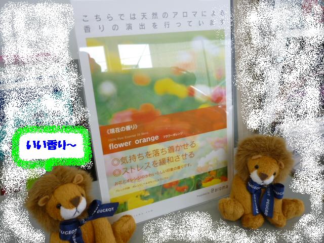 アロマの香り