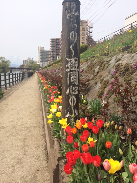 お散歩をしよう