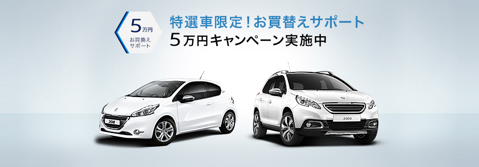 特選車揃っています。