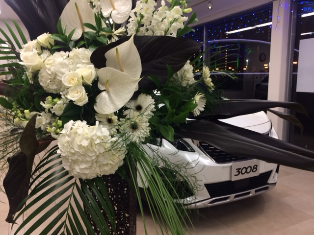 NEW3008デビューフェア開催します！