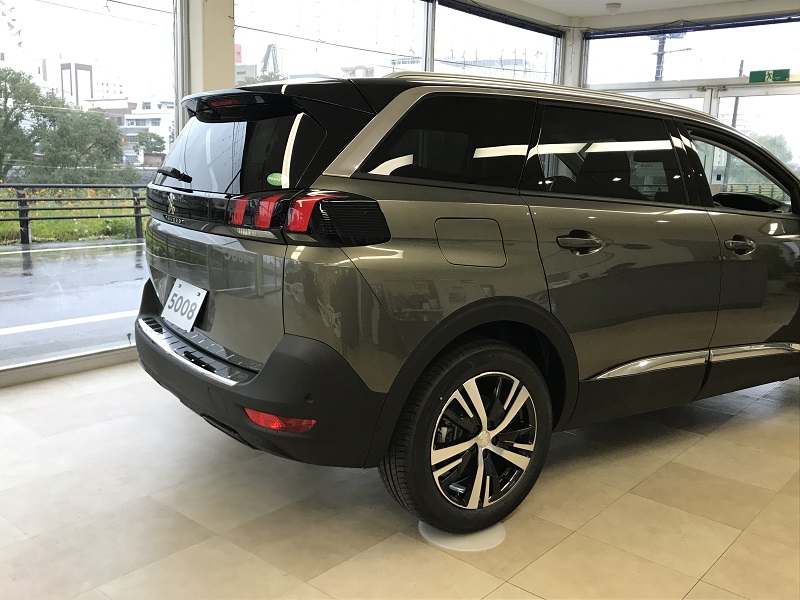 NEW5008入荷しました。