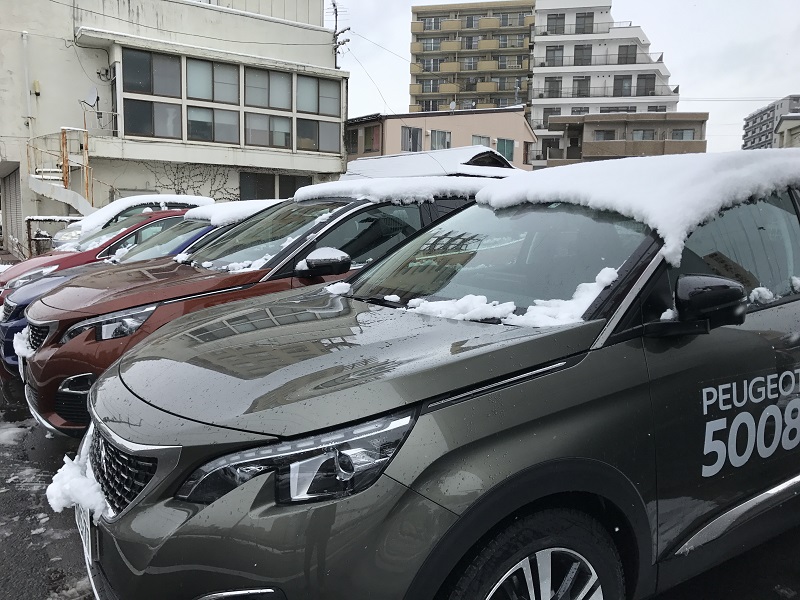 雪です。