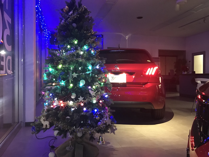 クリスマスツリー出しました。