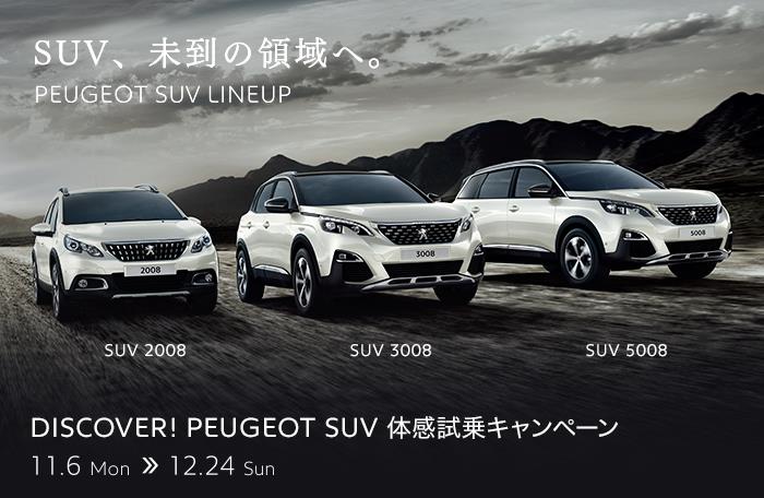 クリスマスツリー出しました。