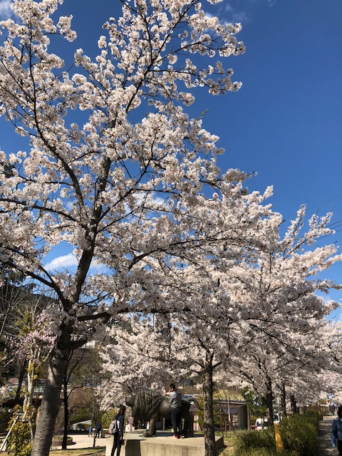 長野・野沢温泉