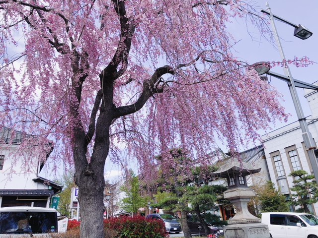 長野・野沢温泉