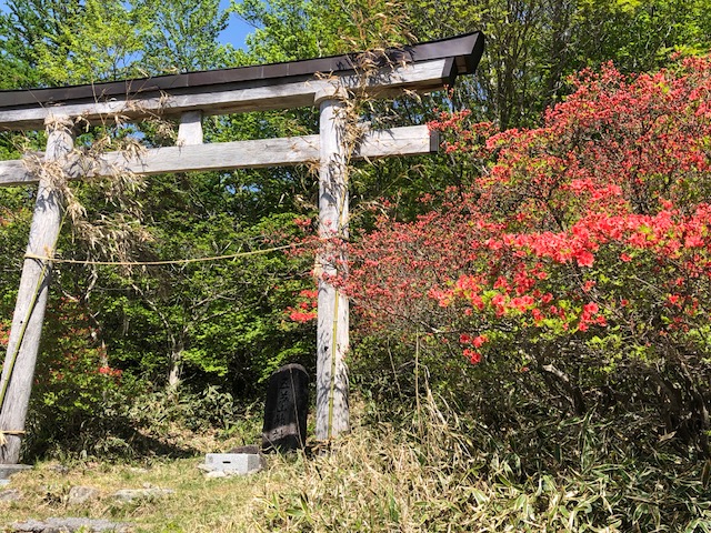 山日記　五葉山