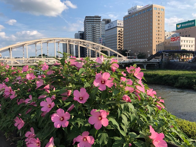 《　夏季休業のお知らせ　》