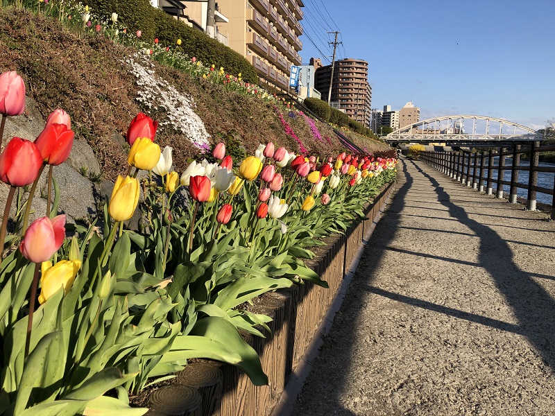 営業再開しております。