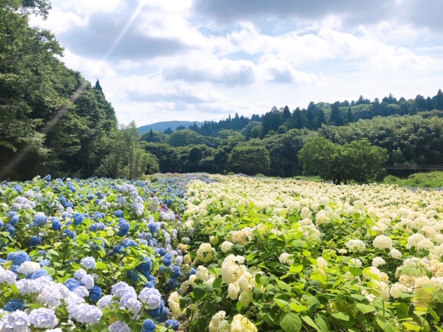 臨時休業のお知らせ