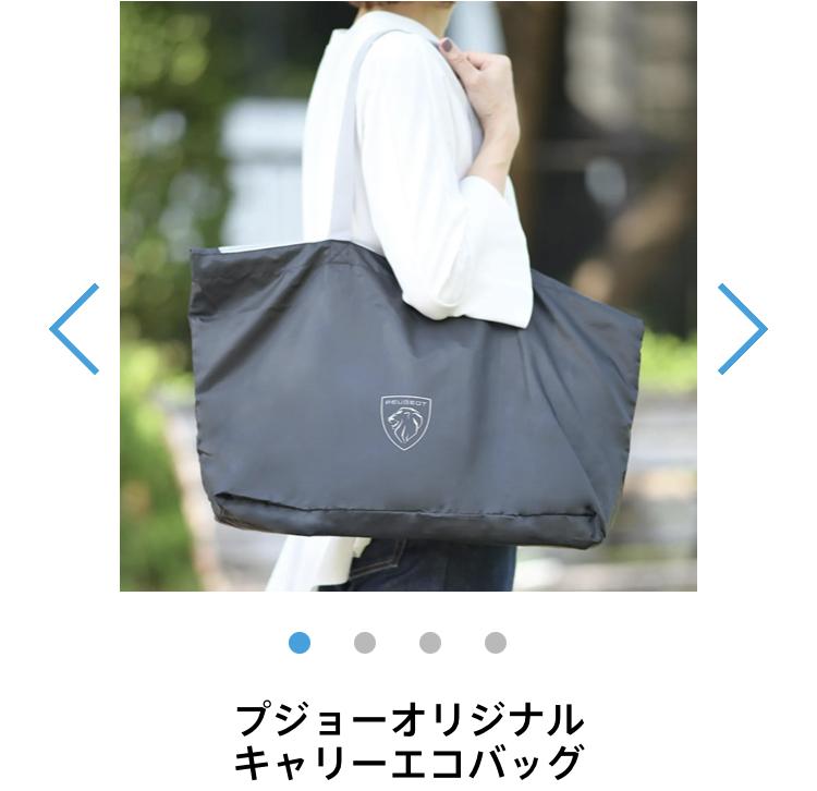 EVに乗ってみませんか？