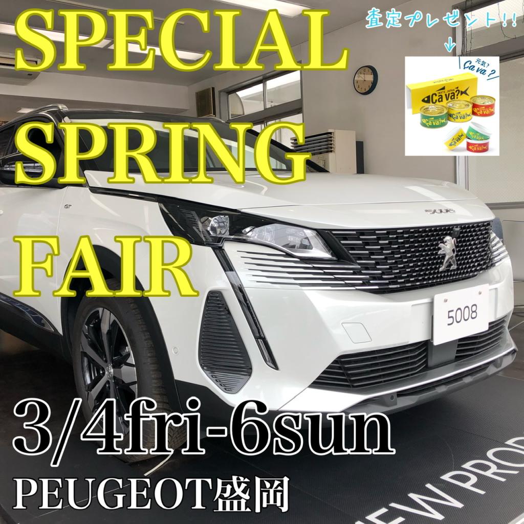 SPECIAL SPRING FAIR