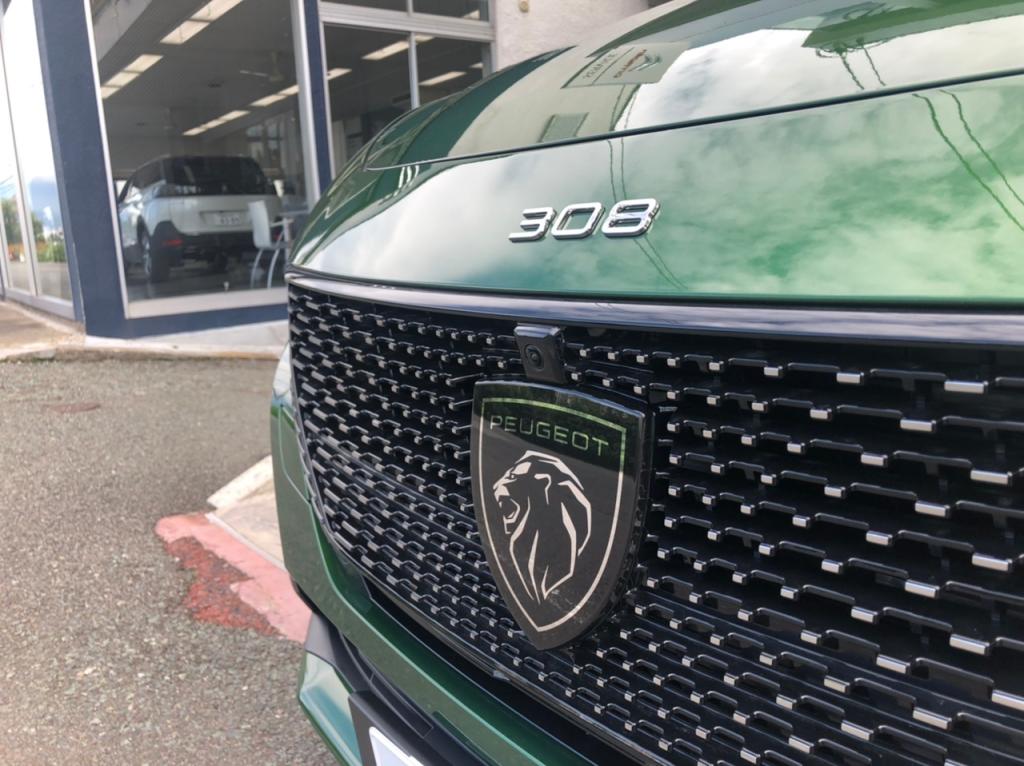 NEW308今日から試乗できます。