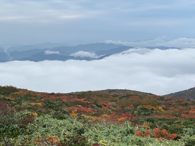 NEW PEUGEOT 308 アンコールフェア