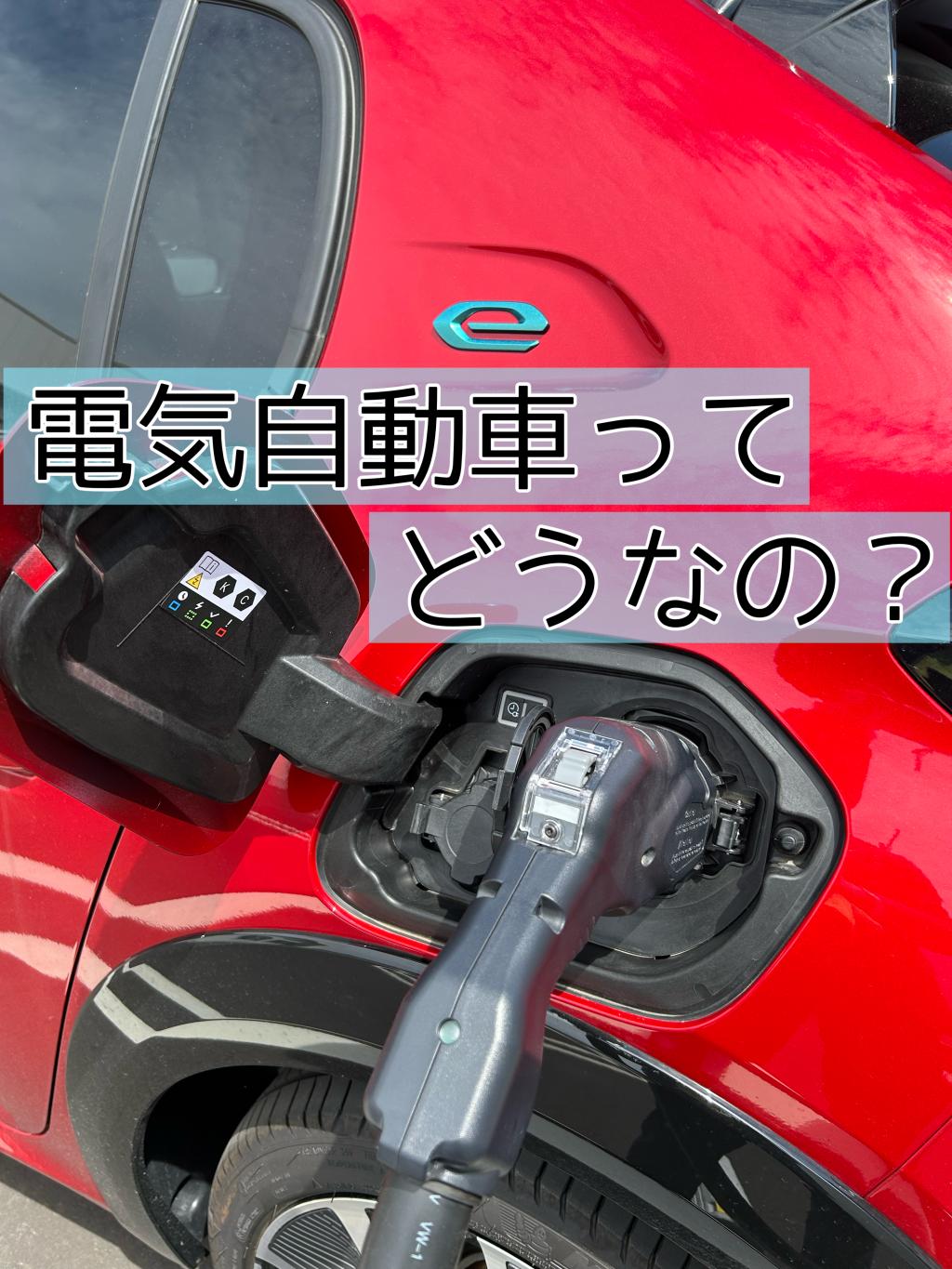 電気自動車ってどうなの？