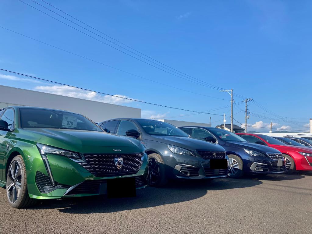 認定中古車フェア開催