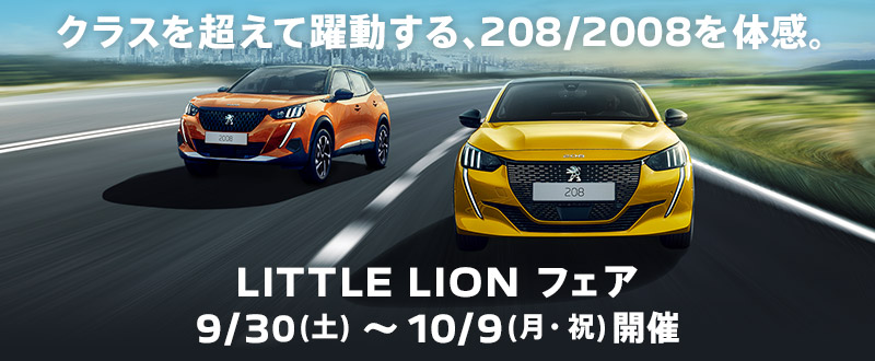 LITTLE LION フェア