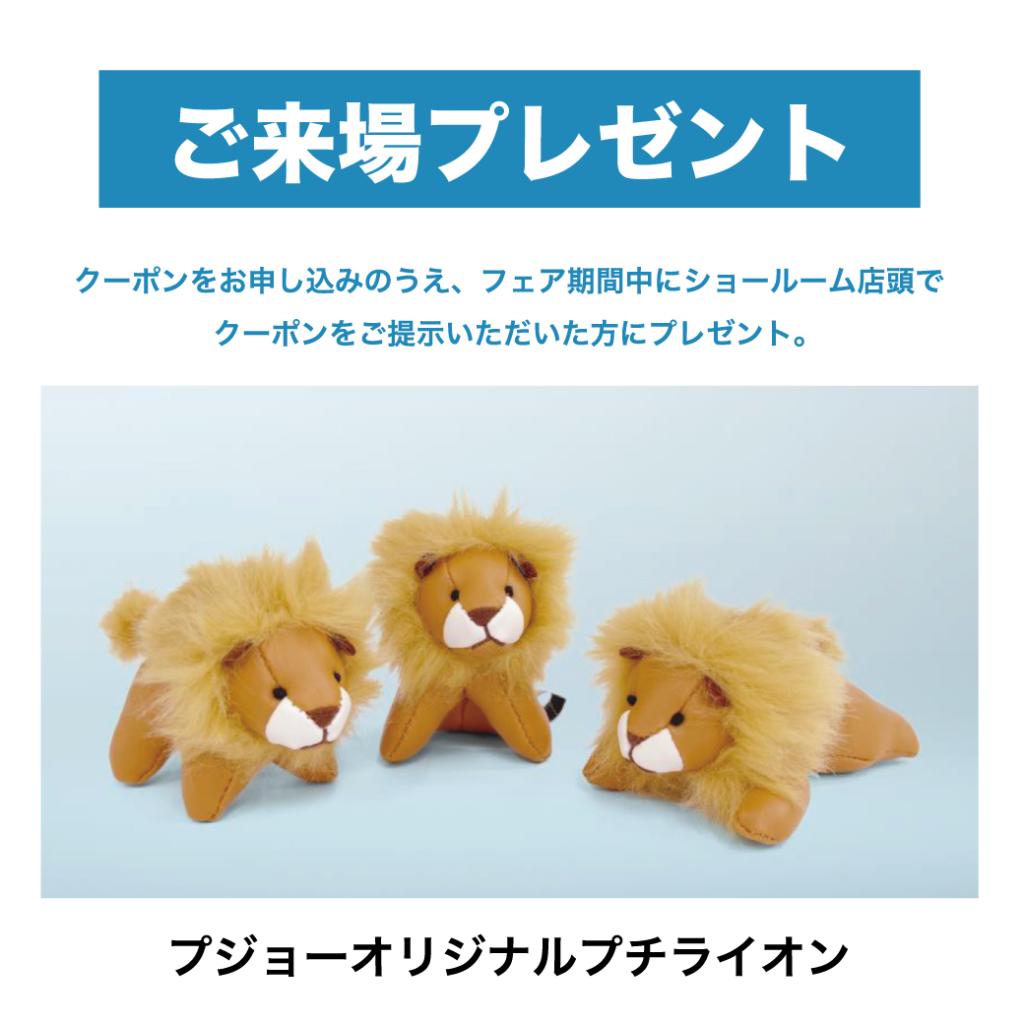 LITTLE LION フェア