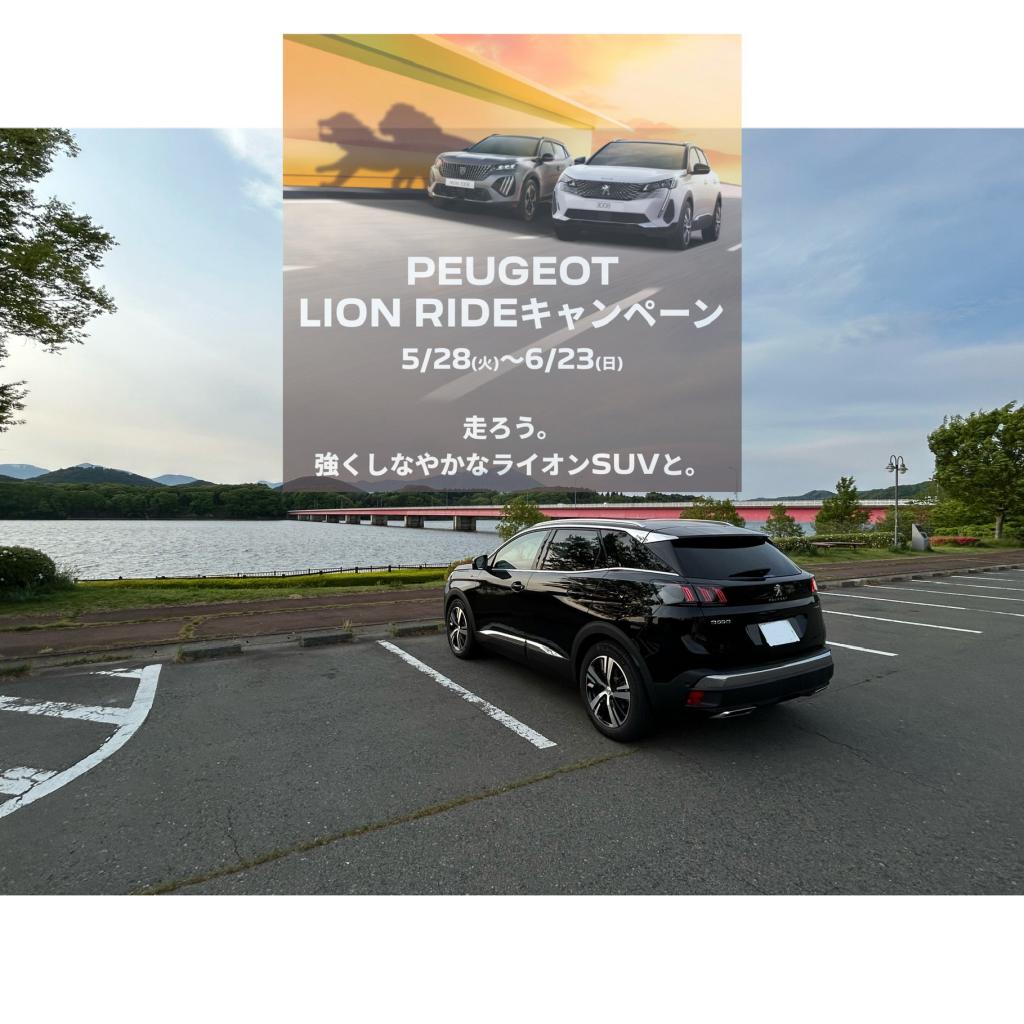 LION RIDEキャンペーン開催中