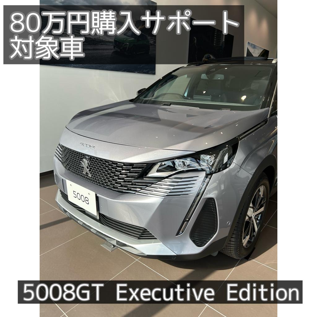 3008/5008 購入サポート80万円