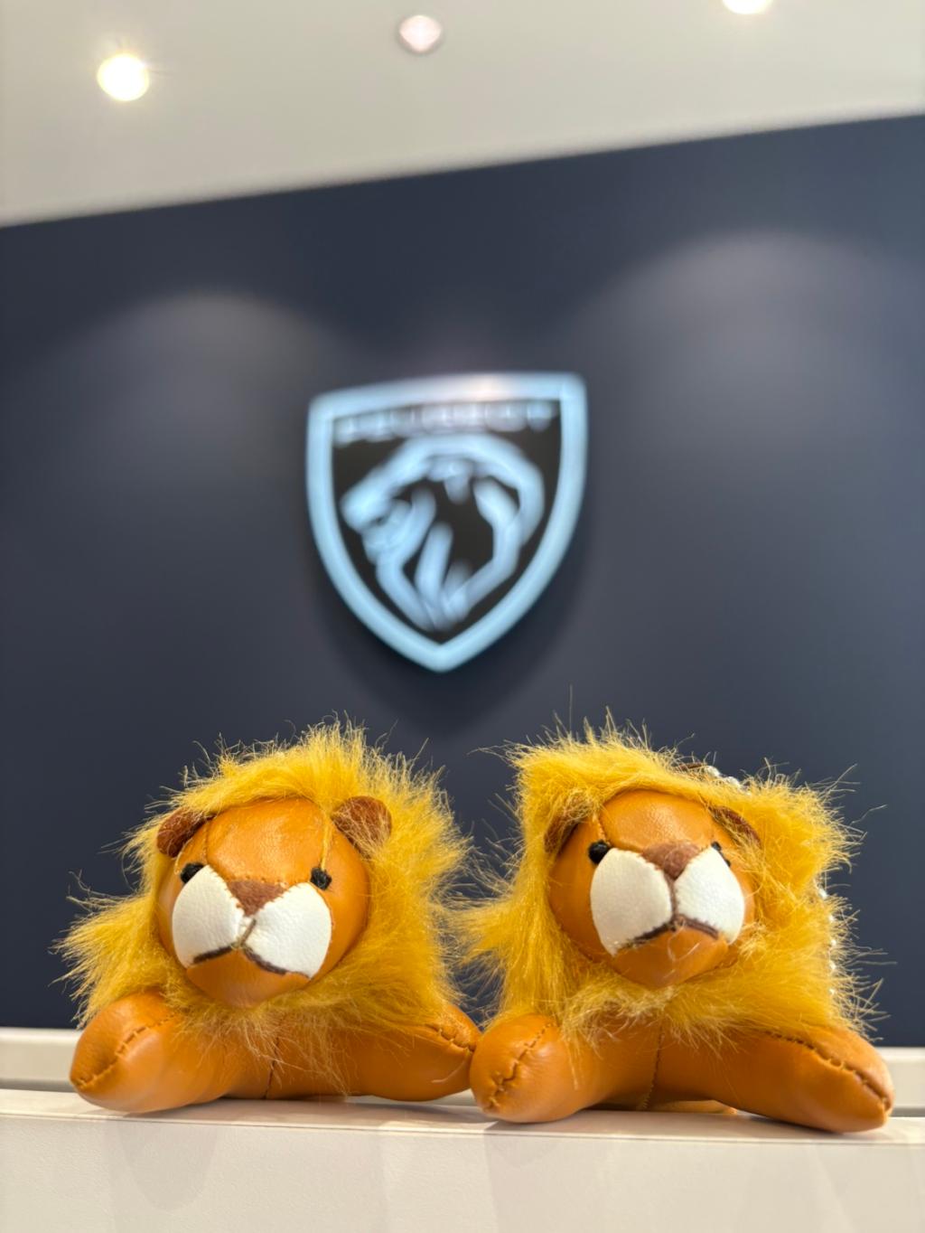 PEUGEOT PETIT LION LIFE フェア開催！5/10（土）～11（日）