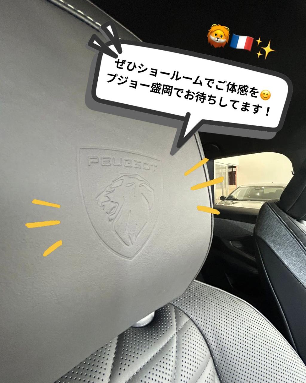 特別仕様車「3008 GT Hybrid Black Edition」のご紹介！🦁✨
