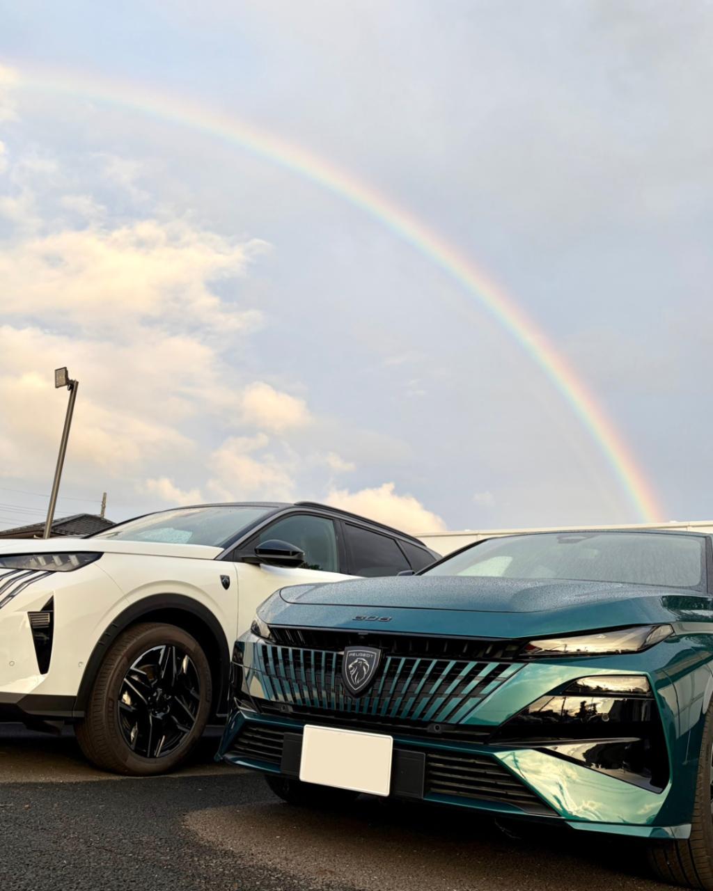 【雨も滴るプジョー🌈】