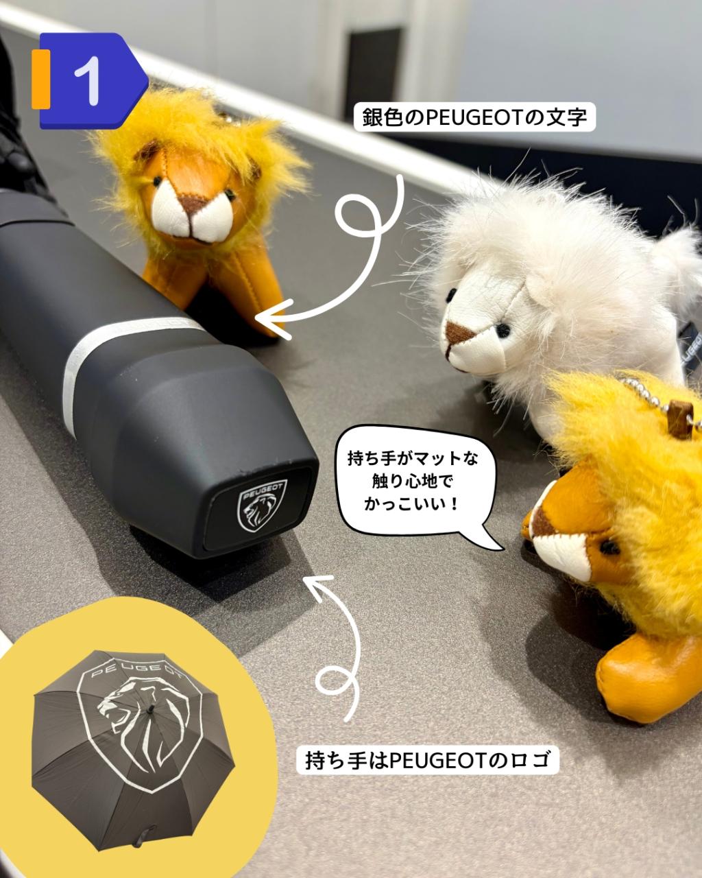 【夏のおすすめブティック5選】